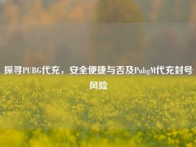 探寻PUBG代充，安全便捷与否及PubgM代充封号风险