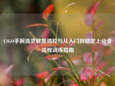 CSGO手腕流灵敏度调校与从入门到稳定上分全流程训练指南