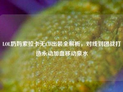 LOL奶妈索拉卡无CD出装全解析，对线到团战打造永动加血移动泉水