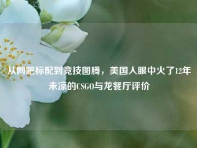 从网吧标配到竞技图腾，美国人眼中火了12年未凉的CSGO与龙餐厅评价
