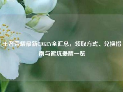 王者荣耀最新CDKEY全汇总，领取方式、兑换指南与避坑提醒一览