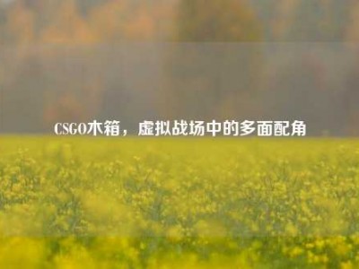 CSGO木箱，虚拟战场中的多面配角