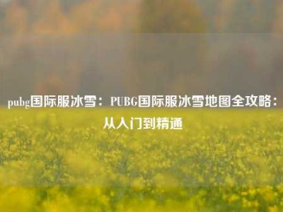 pubg国际服冰雪：PUBG国际服冰雪地图全攻略：从入门到精通