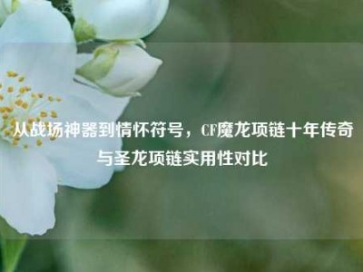 从战场神器到情怀符号，CF魔龙项链十年传奇与圣龙项链实用性对比