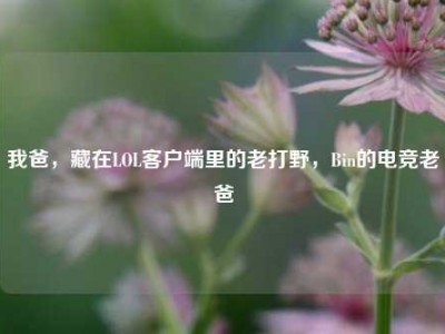 我爸，藏在LOL客户端里的老打野，Bin的电竞老爸