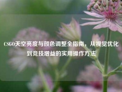 CSGO天空亮度与颜色调整全指南，从视觉优化到竞技增益的实用操作方法