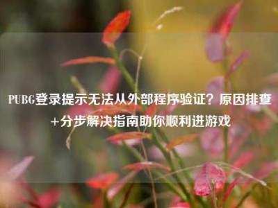 PUBG登录提示无法从外部程序验证？原因排查+分步解决指南助你顺利进游戏