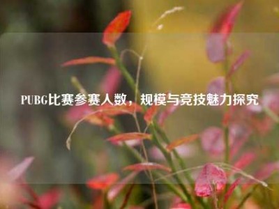 PUBG比赛参赛人数，规模与竞技魅力探究