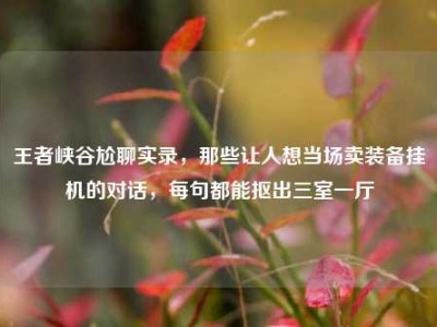 王者峡谷尬聊实录，那些让人想当场卖装备挂机的对话，每句都能抠出三室一厅