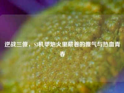 逆战三傻，S3机甲炮火里藏着的傻气与热血青春