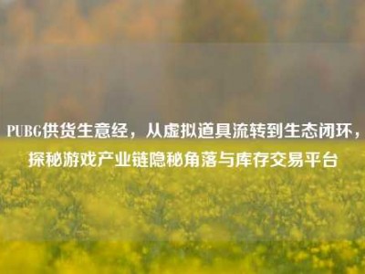 PUBG供货生意经，从虚拟道具流转到生态闭环，探秘游戏产业链隐秘角落与库存交易平台
