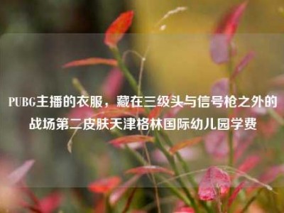 PUBG主播的衣服，藏在三级头与信号枪之外的战场第二皮肤天津格林国际幼儿园学费