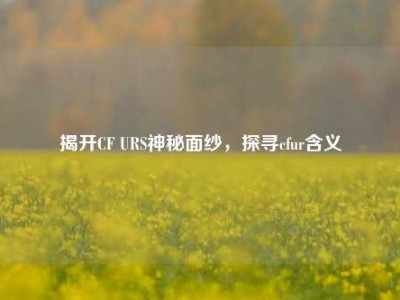 揭开CF URS神秘面纱，探寻cfur含义