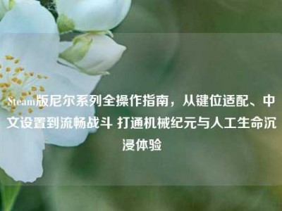 Steam版尼尔系列全操作指南，从键位适配、中文设置到流畅战斗 打通机械纪元与人工生命沉浸体验