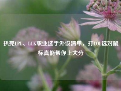 扒完LPL、LCK职业选手外设清单，打LOL选对鼠标真能帮你上大分