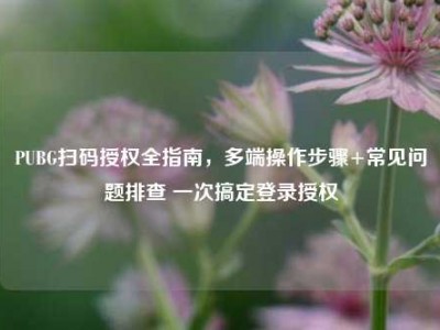 PUBG扫码授权全指南，多端操作步骤+常见问题排查 一次搞定登录授权