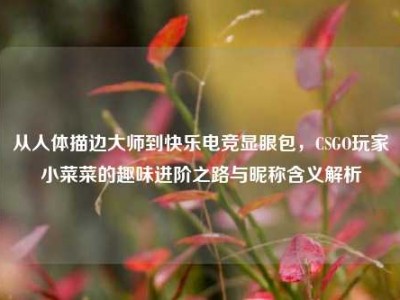 从人体描边大师到快乐电竞显眼包，CSGO玩家小菜菜的趣味进阶之路与昵称含义解析
