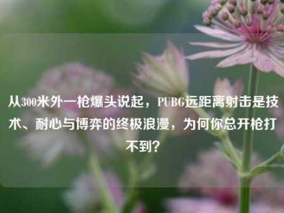 从300米外一枪爆头说起，PUBG远距离射击是技术、耐心与博弈的终极浪漫，为何你总开枪打不到？