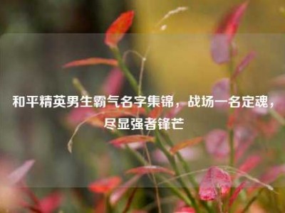 和平精英男生霸气名字集锦，战场一名定魂，尽显强者锋芒