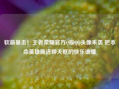 软萌暴击！王者荣耀官方Q版QQ头像来袭 把本命英雄揣进聊天框的快乐谁懂