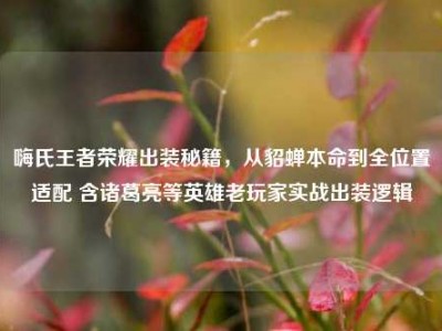 嗨氏王者荣耀出装秘籍，从貂蝉本命到全位置适配 含诸葛亮等英雄老玩家实战出装逻辑