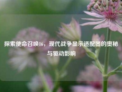探索使命召唤16，现代战争显示适配器的奥秘与驱动影响