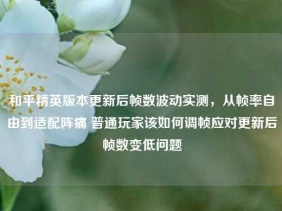 和平精英版本更新后帧数波动实测，从帧率自由到适配阵痛 普通玩家该如何调帧应对更新后帧数变低问题