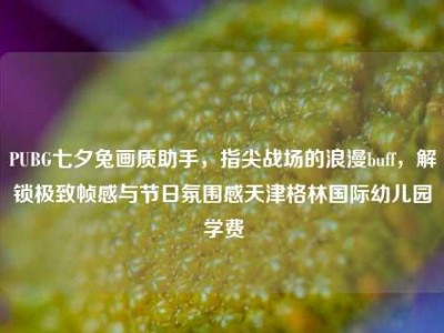 PUBG七夕兔画质助手，指尖战场的浪漫buff，解锁极致帧感与节日氛围感天津格林国际幼儿园学费