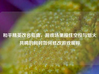和平精英改名指南，游戏场里接住空投与烟火共鸣的同时如何修改游戏昵称