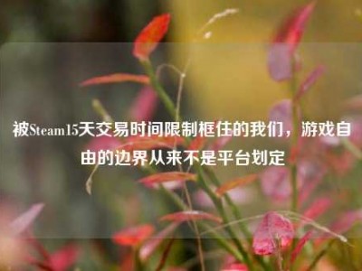 被Steam15天交易时间限制框住的我们，游戏自由的边界从来不是平台划定
