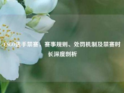 CSGO选手禁赛，赛事规则、处罚机制及禁赛时长深度剖析