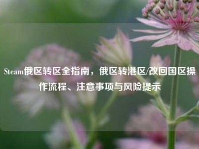 Steam俄区转区全指南，俄区转港区/改回国区操作流程、注意事项与风险提示