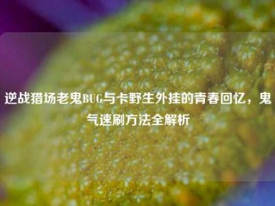 逆战猎场老鬼BUG与卡野生外挂的青春回忆，鬼气速刷方法全解析