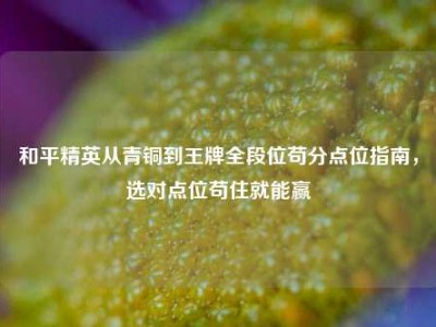 和平精英从青铜到王牌全段位苟分点位指南，选对点位苟住就能赢