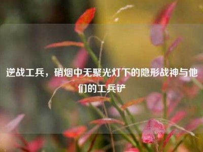 逆战工兵，硝烟中无聚光灯下的隐形战神与他们的工兵铲