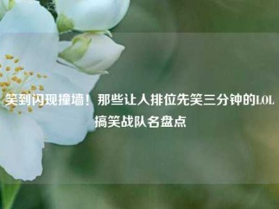 笑到闪现撞墙！那些让人排位先笑三分钟的LOL搞笑战队名盘点