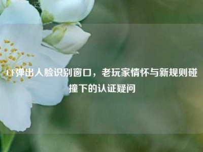 CF弹出人脸识别窗口，老玩家情怀与新规则碰撞下的认证疑问