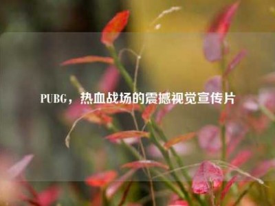 PUBG，热血战场的震撼视觉宣传片
