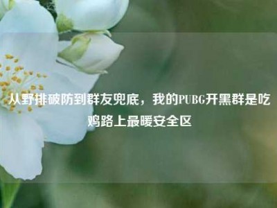 从野排破防到群友兜底，我的PUBG开黑群是吃鸡路上最暖安全区