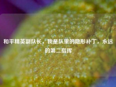 和平精英副队长，我是队里的隐形补丁，永远的第二指挥
