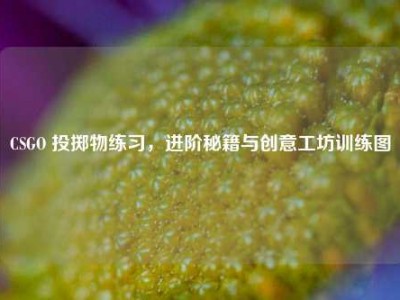 CSGO 投掷物练习，进阶秘籍与创意工坊训练图