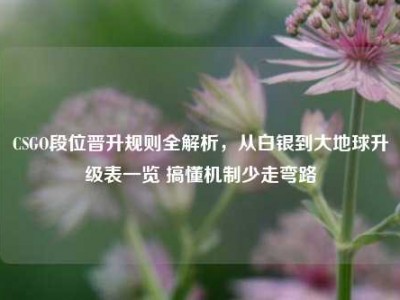 CSGO段位晋升规则全解析，从白银到大地球升级表一览 搞懂机制少走弯路