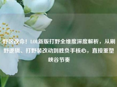 野区改命！LOL新版打野全维度深度解析，从刷野逻辑、打野装改动到胜负手核心，直接重塑峡谷节奏