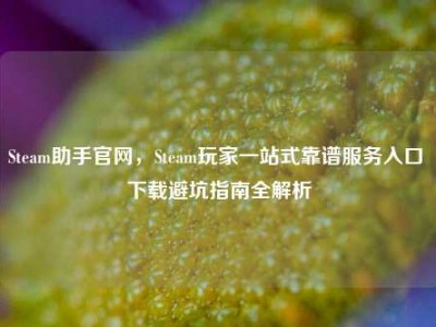 Steam助手官网，Steam玩家一站式靠谱服务入口 下载避坑指南全解析