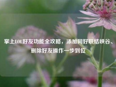 掌上LOL好友功能全攻略，添加同好联结峡谷、删除好友操作一步到位
