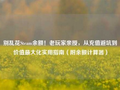 别乱花Steam余额！老玩家亲授，从充值避坑到价值最大化实用指南（附余额计算器）