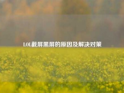 LOL截屏黑屏的原因及解决对策