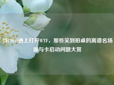 当CSGO遇上打开WTF，那些笑到拍桌的离谱名场面与卡启动问题大赏
