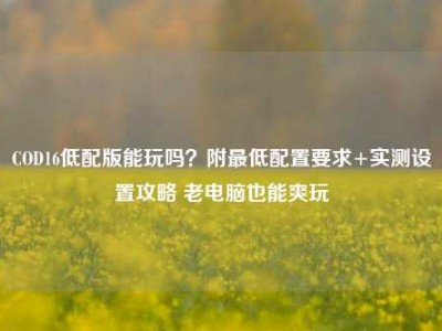 COD16低配版能玩吗？附最低配置要求+实测设置攻略 老电脑也能爽玩