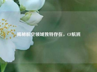 揭秘航空领域独特存在，CF航班